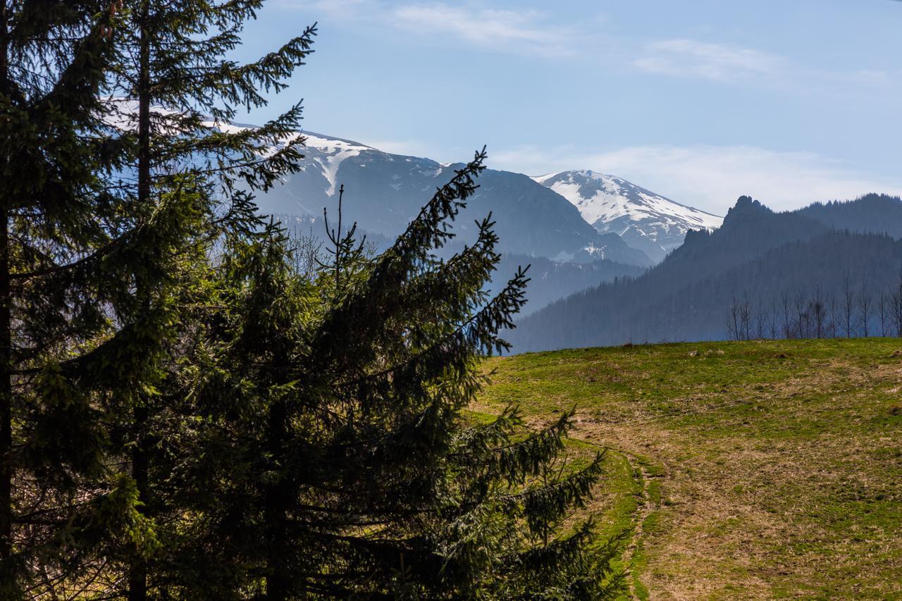 Apartament Lukka Zakopane Apartman Kültér fotó